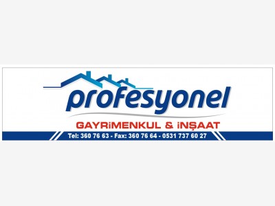 PROFESYONEL GAYRMENKUL NAAT