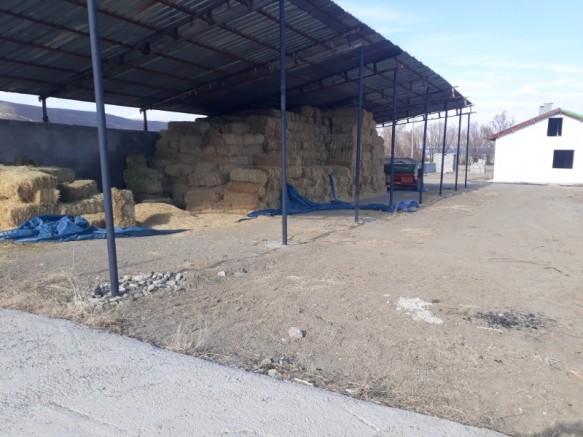 Kayseri Karahdr Satlk iftlik
