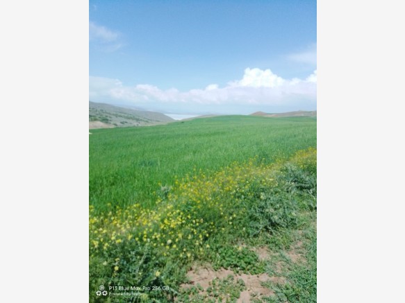 Kayseri Karakaya Fatih Satlk Muhtelif Arsa